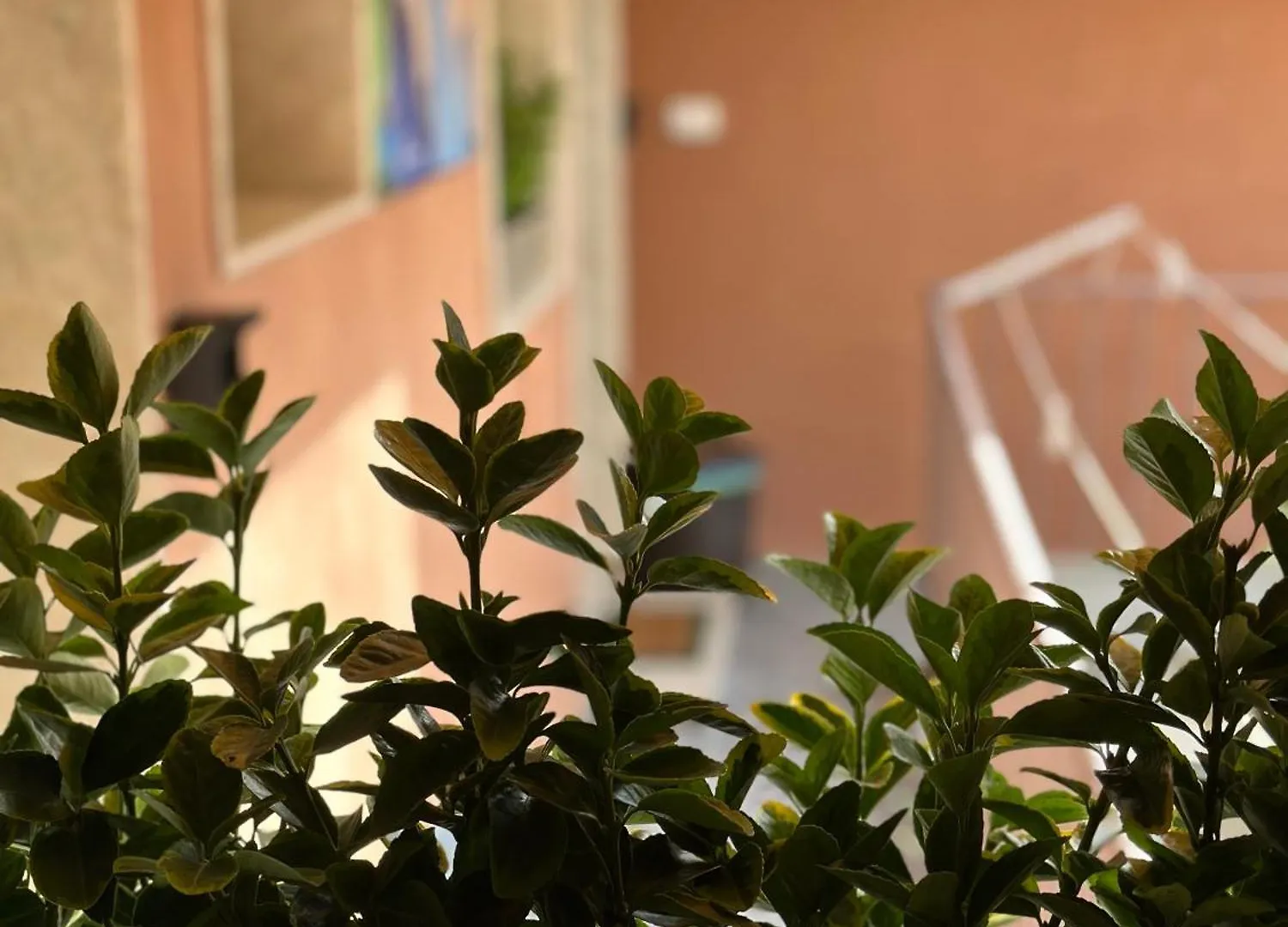 Le Camere Luxury Rooms Siracusa Syrakus