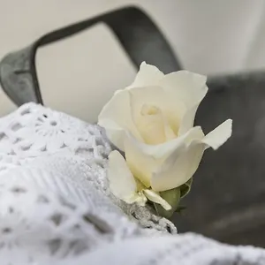 https://il-giardino-di-ortensia-bb.it-tuscanyhotel.com